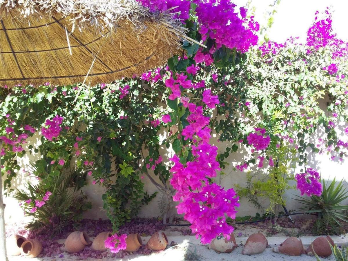 Ferienwohnung Dar Janis Djerba دار يانيس جربة Houmt Souk  Zimmer foto