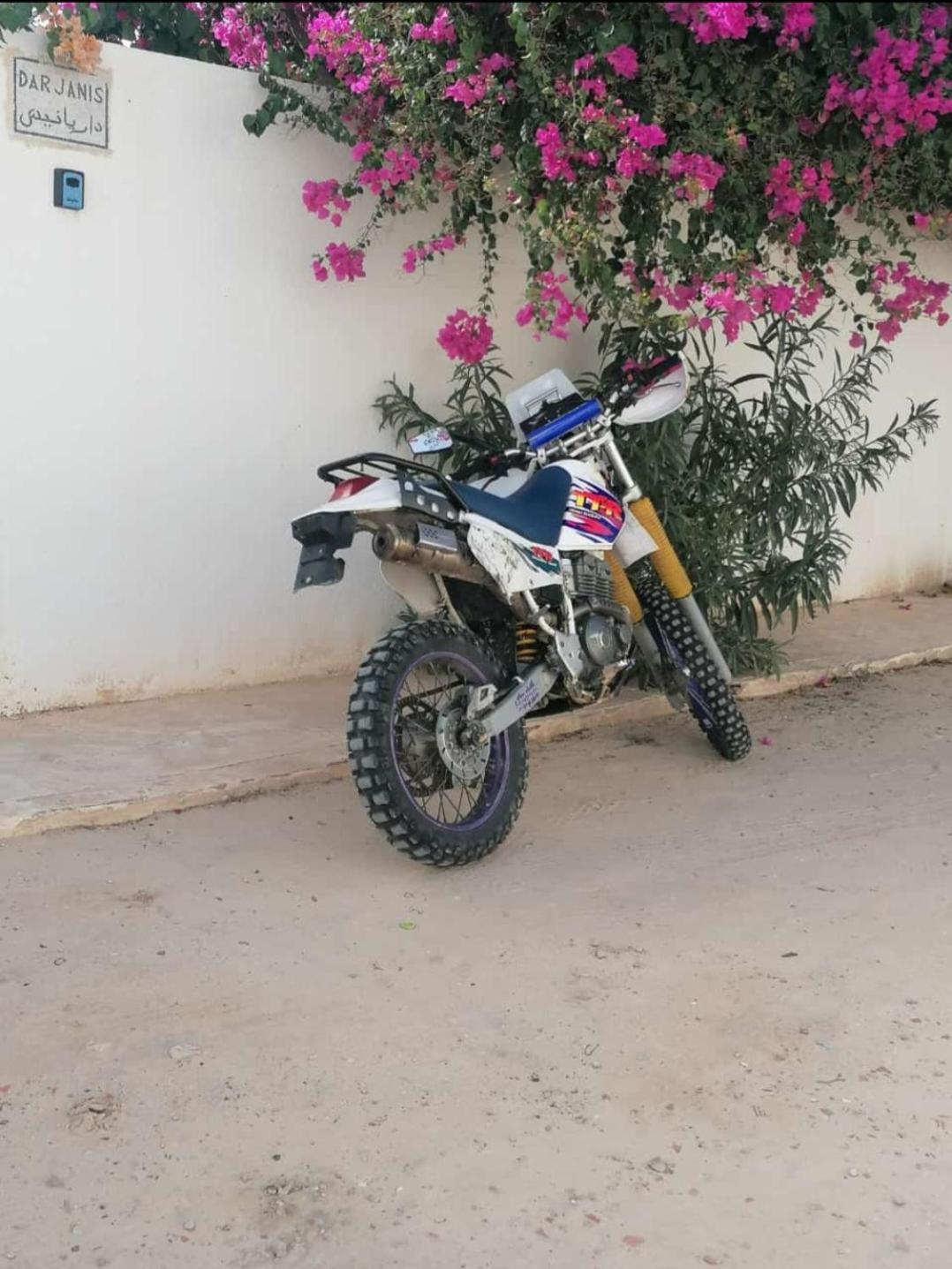 Ferienwohnung Dar Janis Djerba دار يانيس جربة Houmt Souk  Exterior foto
